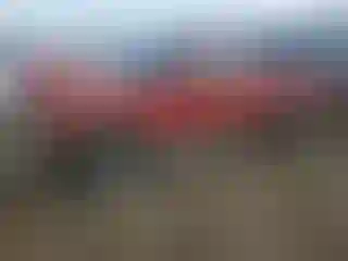 Vehicle Image- 1994 Dodge Dakota