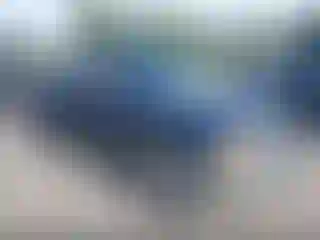 Vehicle Image- 2000 Dodge Dakota