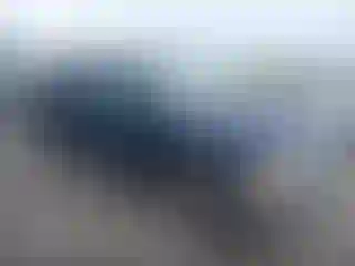 Vehicle Image- 2001 Dodge Dakota