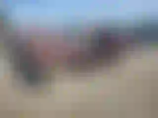 Vehicle Image- 2000 Dodge Dakota