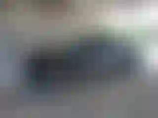 Vehicle Image- 2000 Dodge Dakota