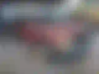 Vehicle Image- 2000 Dodge Dakota