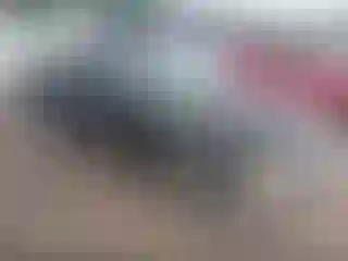 Vehicle Image- 2001 Dodge Dakota