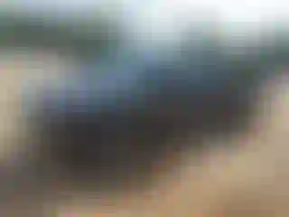 Vehicle Image- 2001 Dodge Dakota