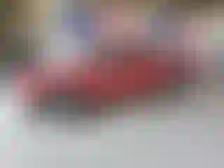 Vehicle Image- 1996 Dodge Dakota