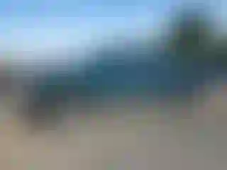 Vehicle Image- 1997 Dodge Dakota