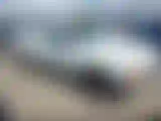 Vehicle Image- 1995 Dodge Dakota