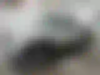 Vehicle Image- 2000 Dodge RAM 1500