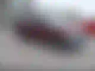 Vehicle Image- 2001 Dodge RAM 1500