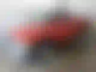 Vehicle Image- 2001 Dodge RAM 1500