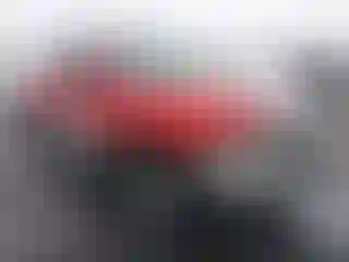 Vehicle Image- 2000 Dodge RAM 1500