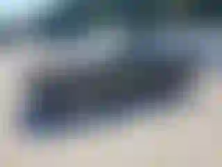 Vehicle Image- 1996 Dodge RAM 1500