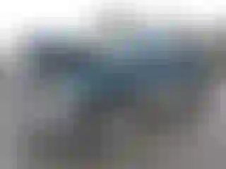 Vehicle Image- 1996 Dodge RAM 1500