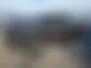 Vehicle Image- 2001 Dodge RAM 1500