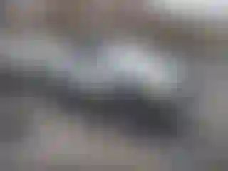 Vehicle Image- 1999 Dodge RAM 1500