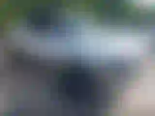 Vehicle Image- 2001 Dodge RAM 1500