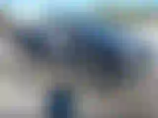 Vehicle Image- 1994 Dodge RAM 1500