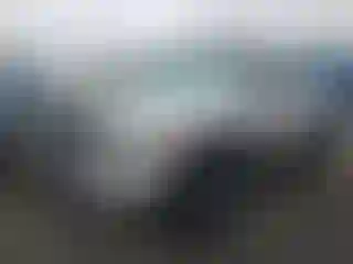 Vehicle Image- 2001 Dodge RAM 1500