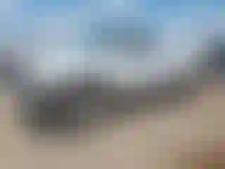 Vehicle Image- 1994 Dodge RAM 1500