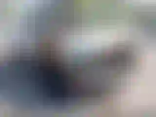 Vehicle Image- 1997 Dodge RAM 1500