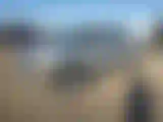 Vehicle Image- 2002 Dodge Dakota