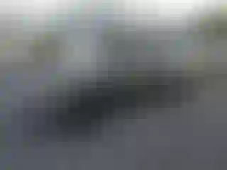 Vehicle Image- 2002 Dodge Dakota