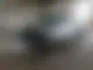 Vehicle Image- 2002 Dodge Dakota