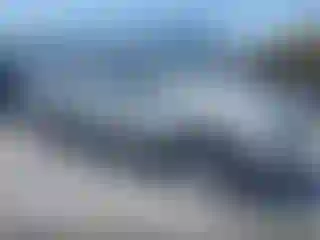 Vehicle Image- 2002 Dodge RAM 1500