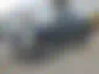 Vehicle Image- 2002 Dodge RAM 1500