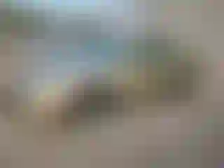 Vehicle Image- 2010 Chrysler Sebring