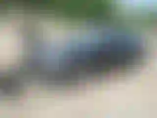 Vehicle Image- 2015 Chrysler 200