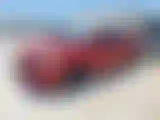 Vehicle Image- 2016 Dodge Dart