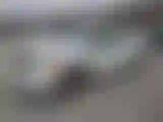 Vehicle Image- 2012 Dodge Caliber