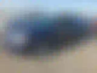 Vehicle Image- 2014 Dodge Avenger