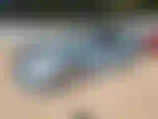 Vehicle Image- 2009 Chrysler Sebring