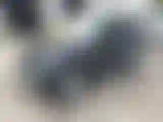 Vehicle Image- 2015 Jeep Wrangler