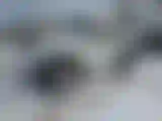 Vehicle Image- 2012 Jeep Wrangler