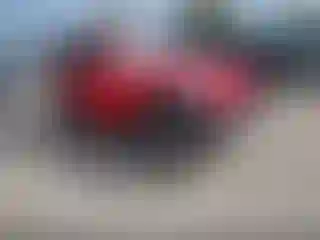 Vehicle Image- 2013 Jeep Wrangler