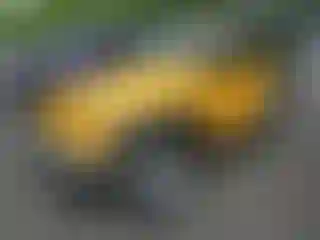 Vehicle Image- 2012 Jeep Wrangler
