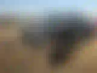 Vehicle Image- 2013 Jeep Wrangler