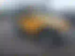 Vehicle Image- 2012 Jeep Wrangler