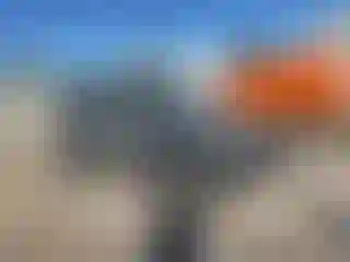 Vehicle Image- 2017 Jeep Wrangler