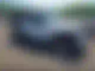 Vehicle Image- 2015 Jeep Wrangler