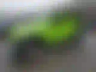 Vehicle Image- 2012 Jeep Wrangler