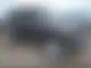 Vehicle Image- 2016 Jeep Wrangler