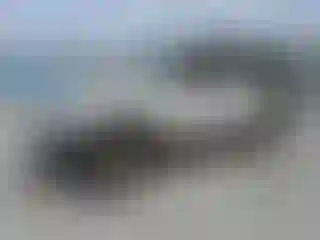 Vehicle Image- 2012 Jeep Wrangler