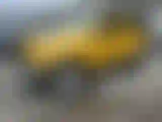 Vehicle Image- 2015 Jeep Wrangler