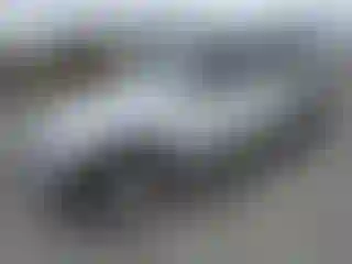 Vehicle Image- 2016 Jeep Wrangler