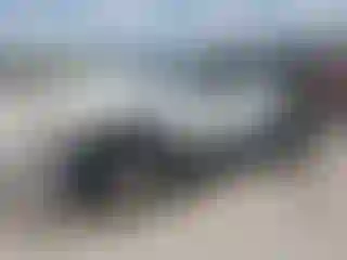 Vehicle Image- 2016 Jeep Wrangler