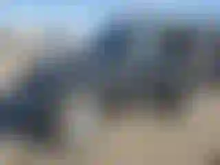 Vehicle Image- 2019 Jeep Wrangler